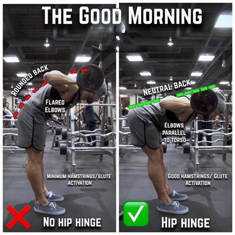 The main difference is because there is no real resistance, a Bodyweight Good Morning is going to stretch these same muscles. The hamstrings, glutes and low back (Erector Spinae) will all benefit from Bodyweight Good Mornings. This is what makes them a great dynamic warm-up exercise to add to a lower-body lift or run workout.